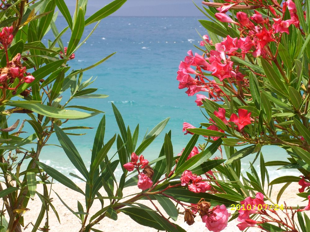 Impressionen des Camps